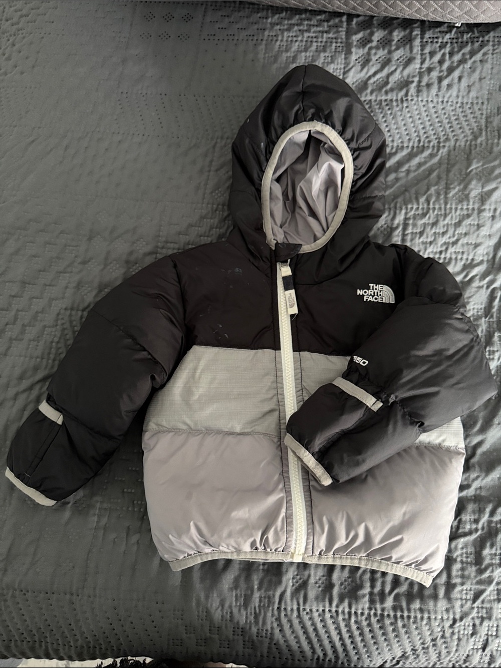 The North Face Kids Puffer Jacket - Black & Gray